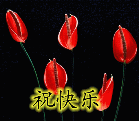 早上好,送给群里每一位朋友的,打开看看!