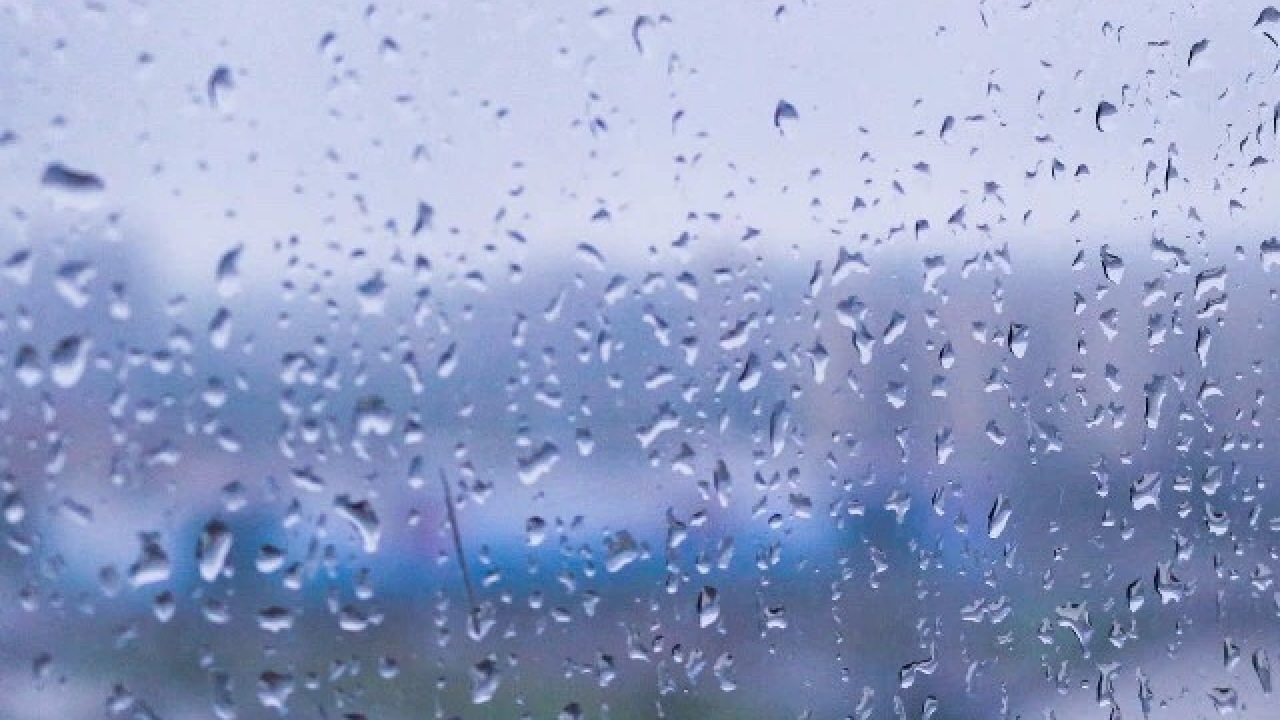 暴雨無情，人間有愛