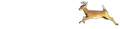 500_121gif 动态图 动图