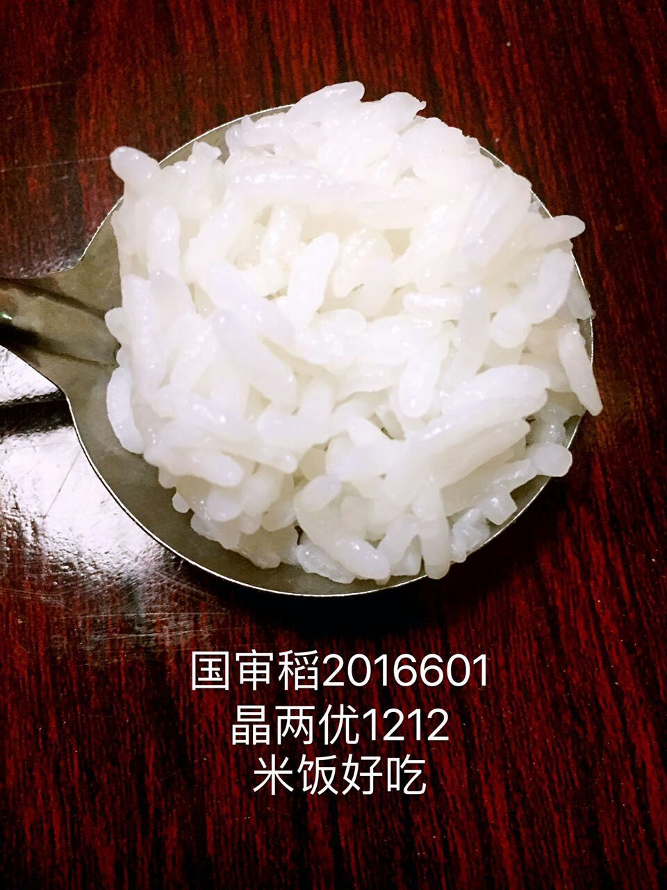 晶两优1212,广西崇左,我们不见不散