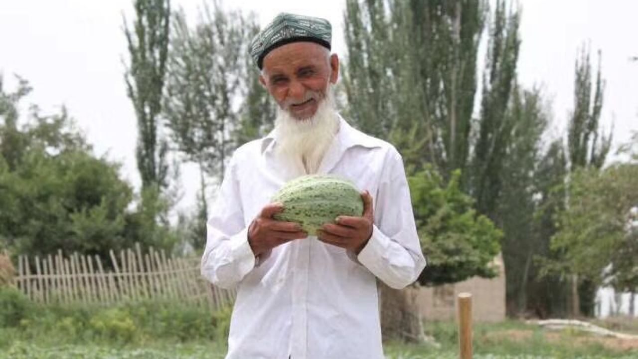 阿瓦提纳西甘火了，送达全国各地！