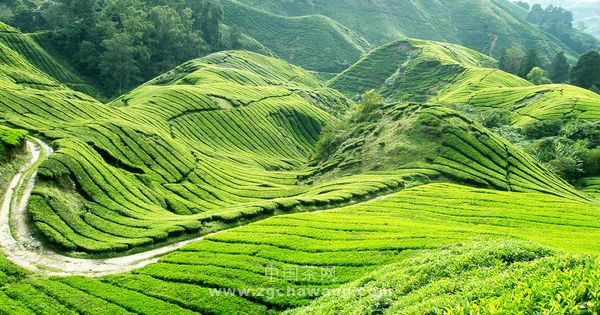 螺丝壳景区