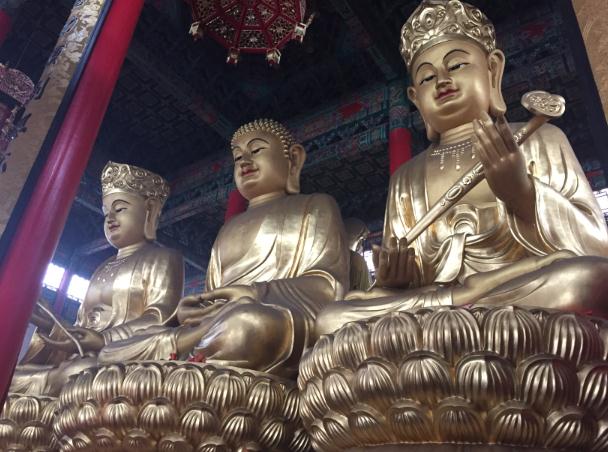 九华山朝圣之旅