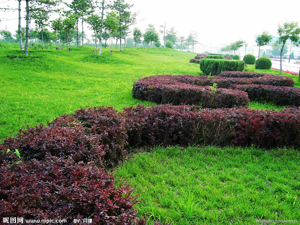 草坪/golf course 景观绿化/landscaping