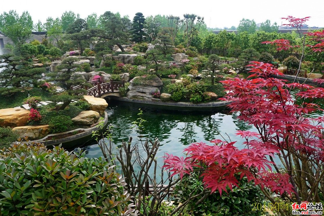 盘龙大观园杜鹃花节—梦幻之旅