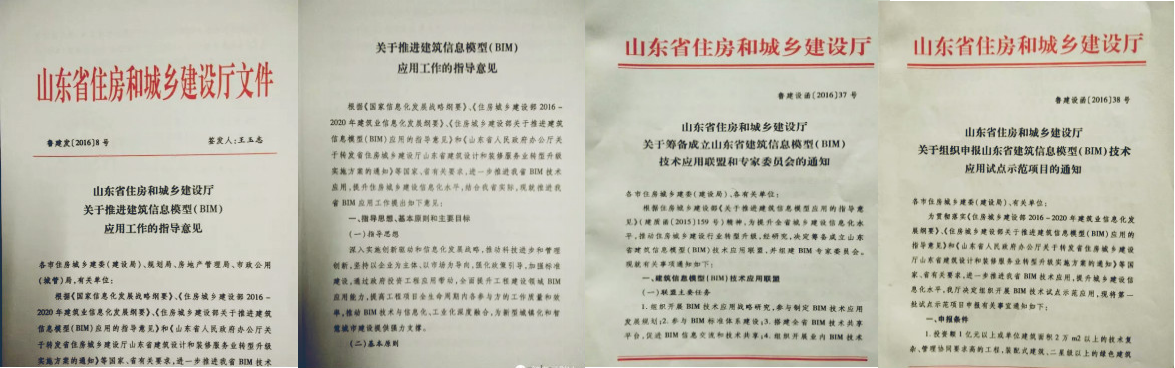 山东单独两孩政策_山东bim政策_山东最新计生政策