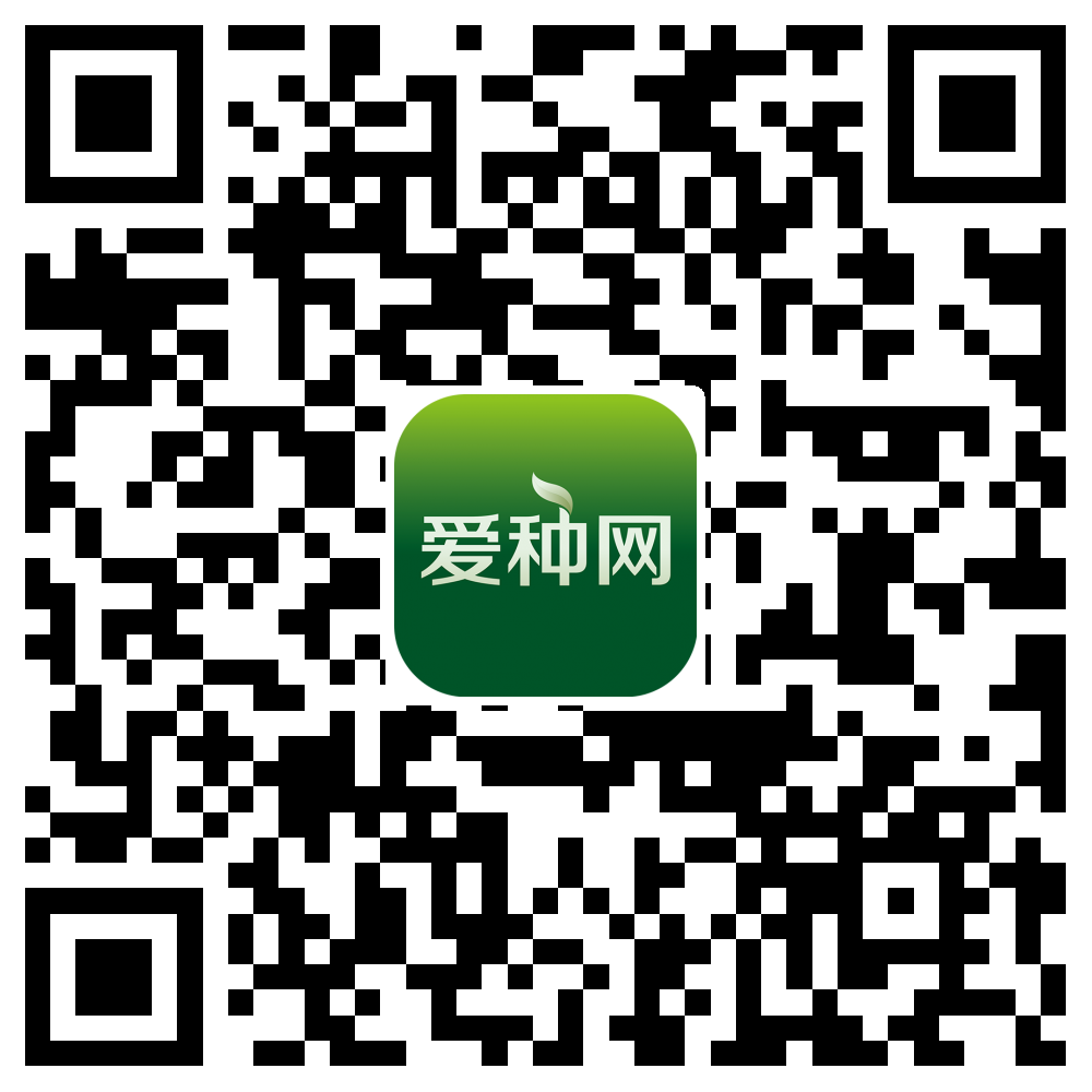 愛種網(wǎng)2018年內(nèi)部人才推薦機(jī)制