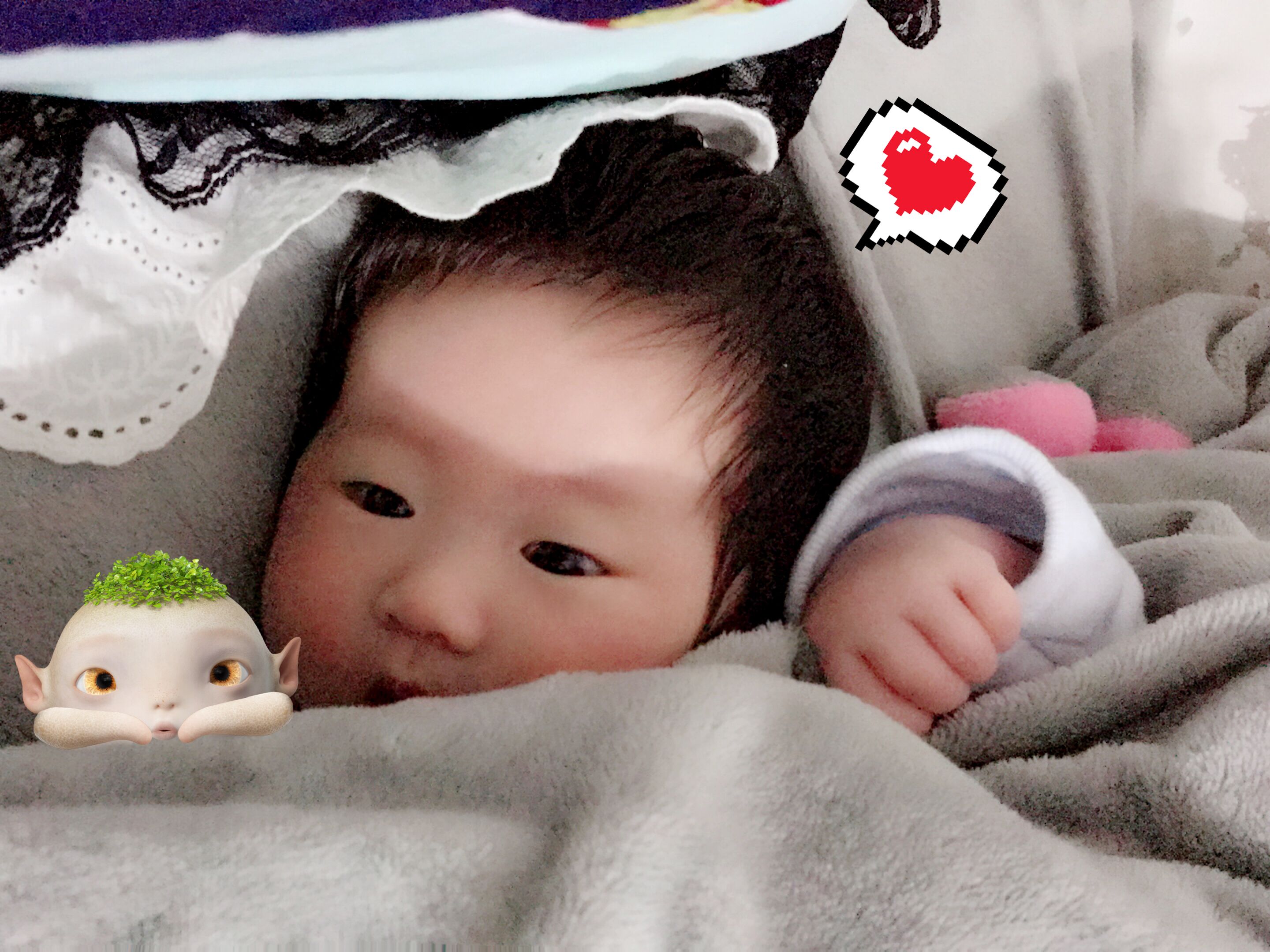 何府寶寶滿百天啦