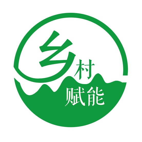 中国乡村赋能工程