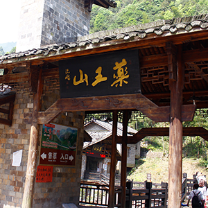 问道青城山 健康游学行