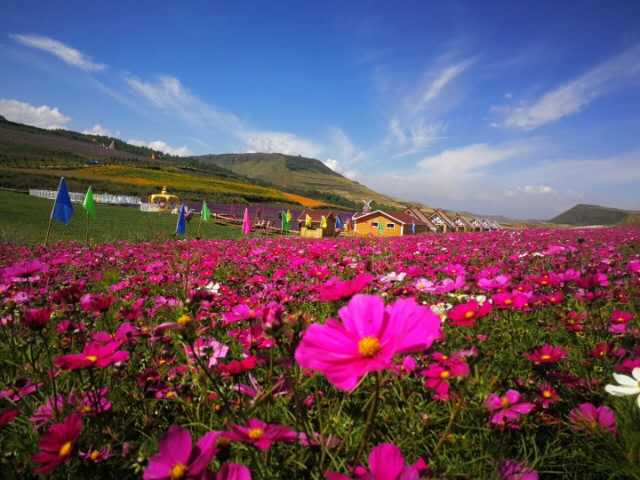 上山莊花海景區