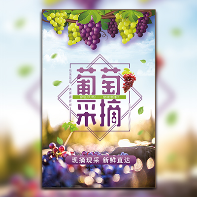 葡萄采摘活動(dòng)