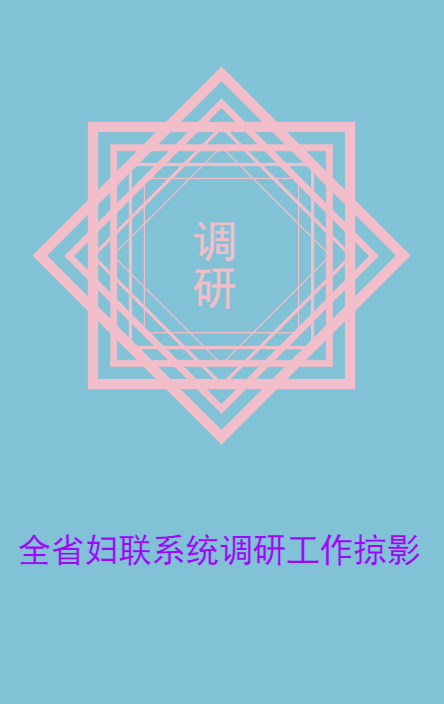 全省婦聯(lián)系統(tǒng)調(diào)研工作掠影