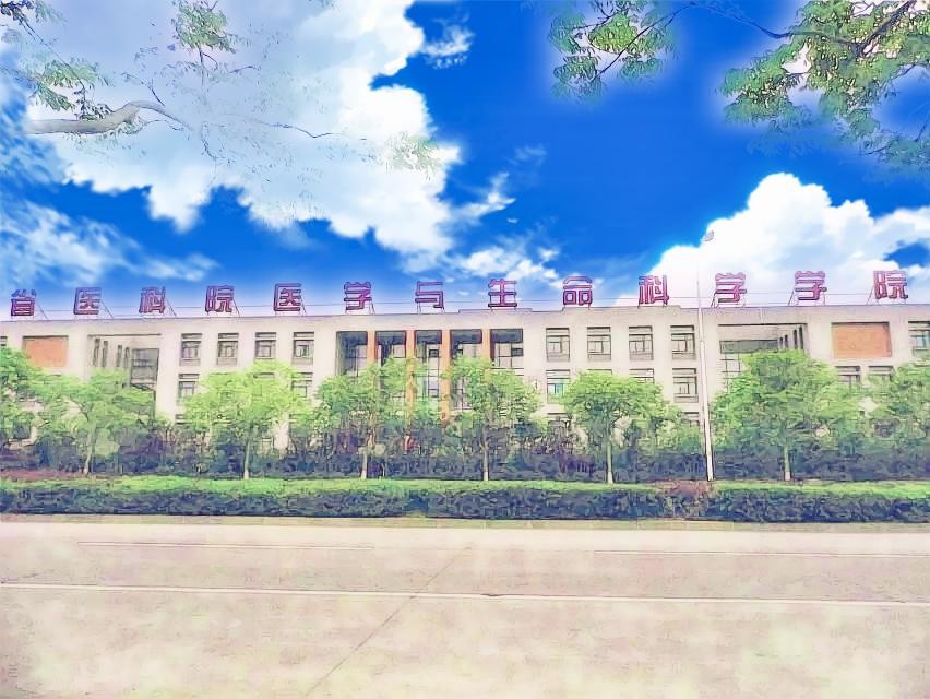 山东省医学科学院医学与生命科学学院创新创业大赛