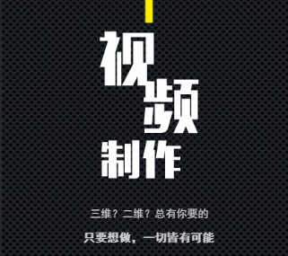 张婷婷电子简历