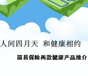 簡易險產品推介