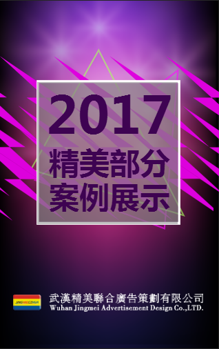 2017年精美案例