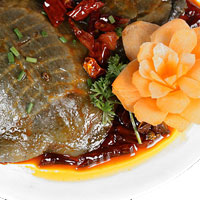 秋冬进补 优选甲鱼