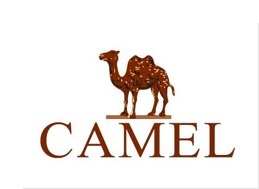 品 牌 男 鞋    魅 力 至 尚 camel 冬季新品 限时促销