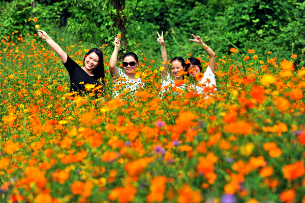 白市驛花卉苗木基地(白市驛鎮)