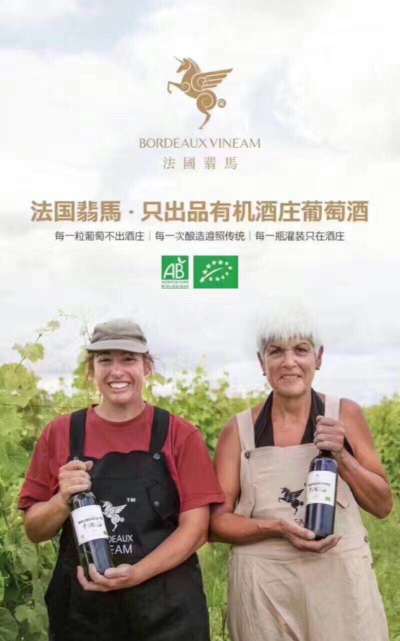 广安三联鼎力公司