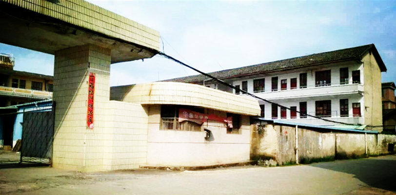 龙南二中99届17年同学会