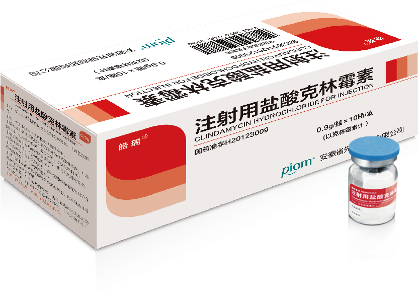 安徽省先锋制药(医药)有限公司开工大吉!