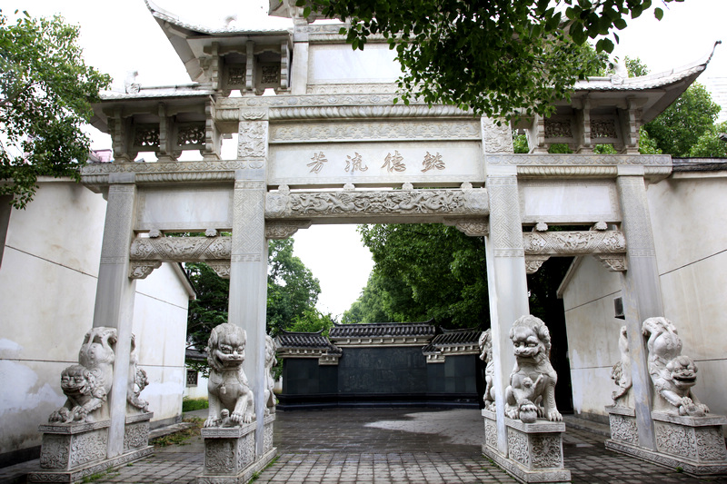 2019新茶即将上市 栲栳尖茶叶 桐城小花 茶厂直销