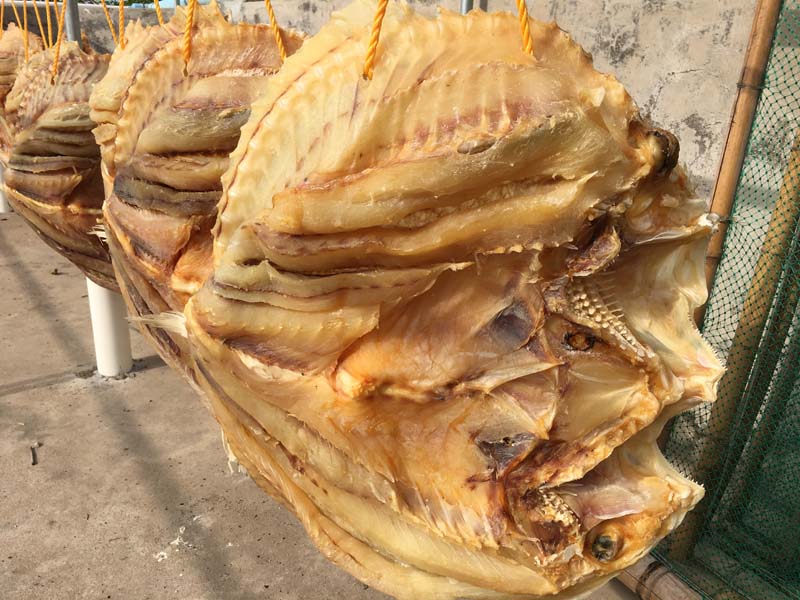 儋州农业携手121店海南儋州馆向您拜年了