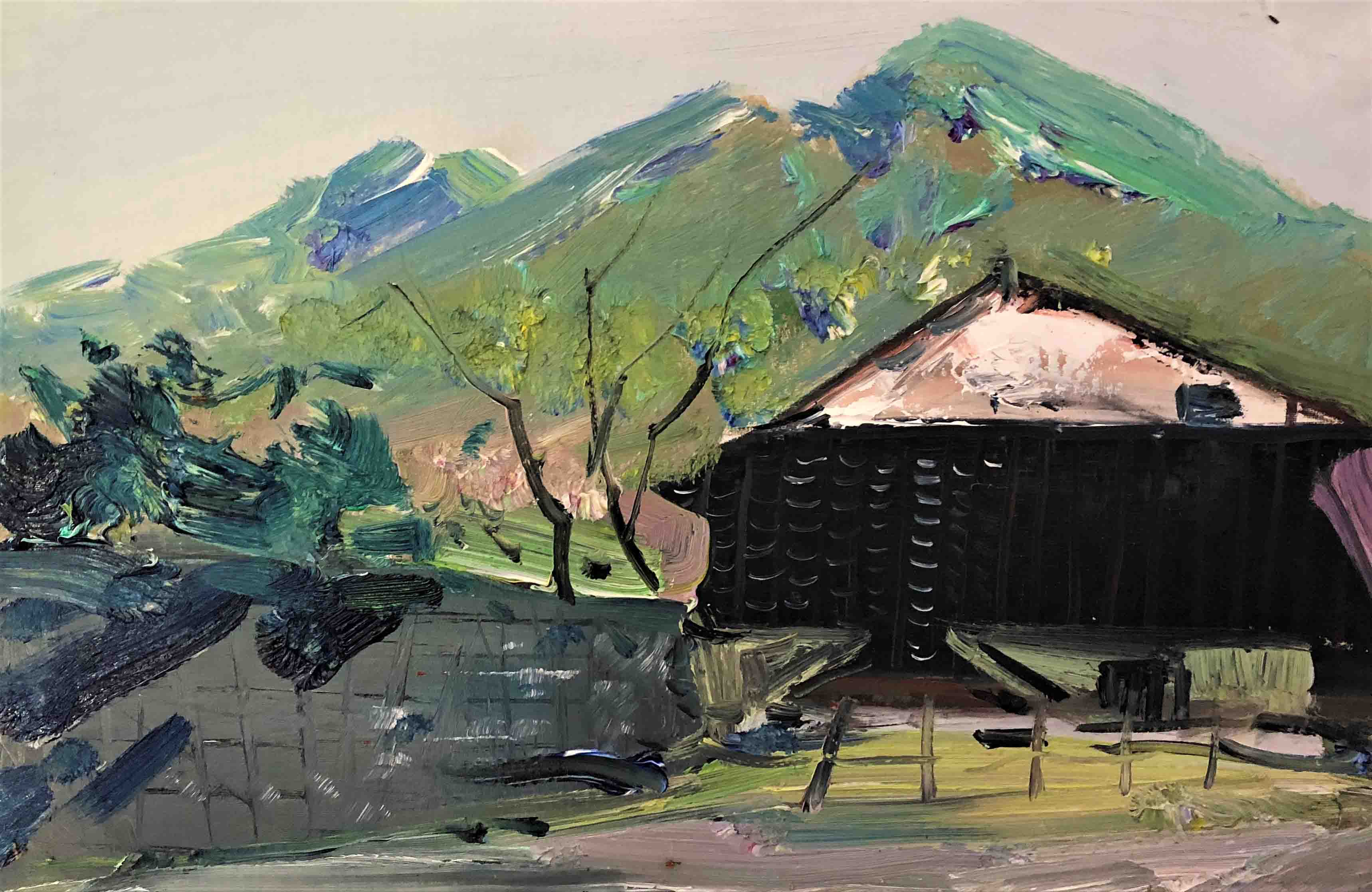 西安情采油画学会镇安云盖寺写生圆满成功