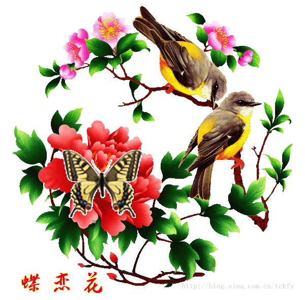 600_589gif 动态图 动图