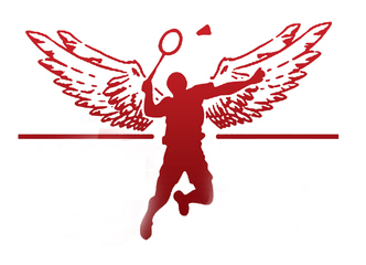 羽毛球运动员团队风采