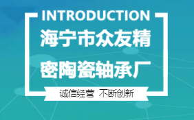 海宁市众友精密陶瓷轴承厂