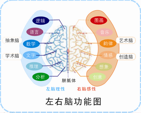 高效记忆力