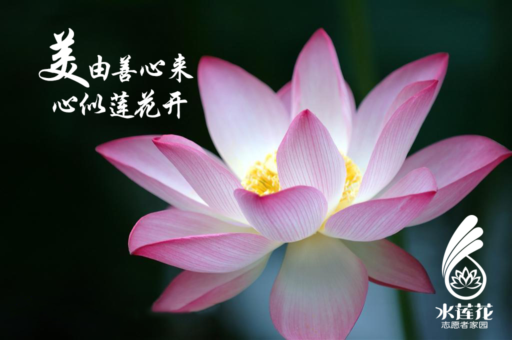 绿韵碧波庭2017财富说明会佛山站