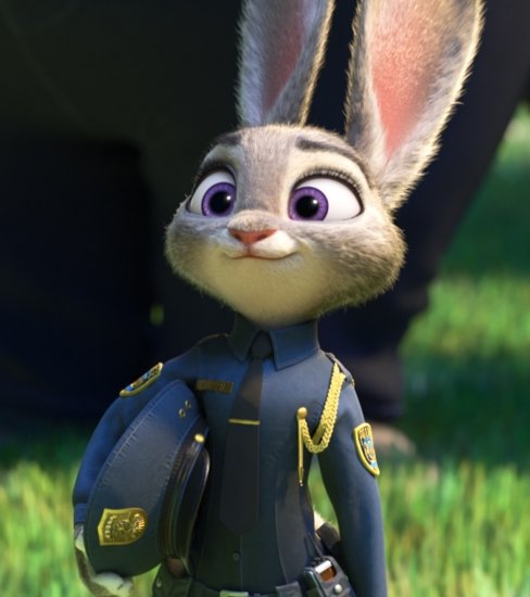 搜索建材明星会