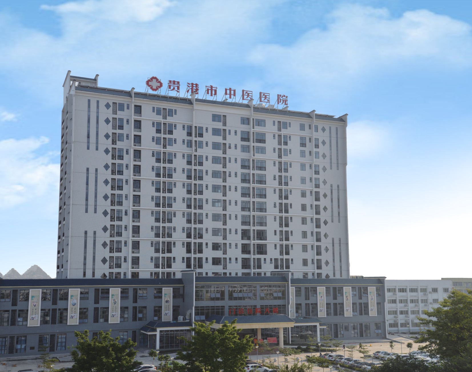 2017年广西中医药大学附属瑞康医院名老中医义诊暨学术讲座