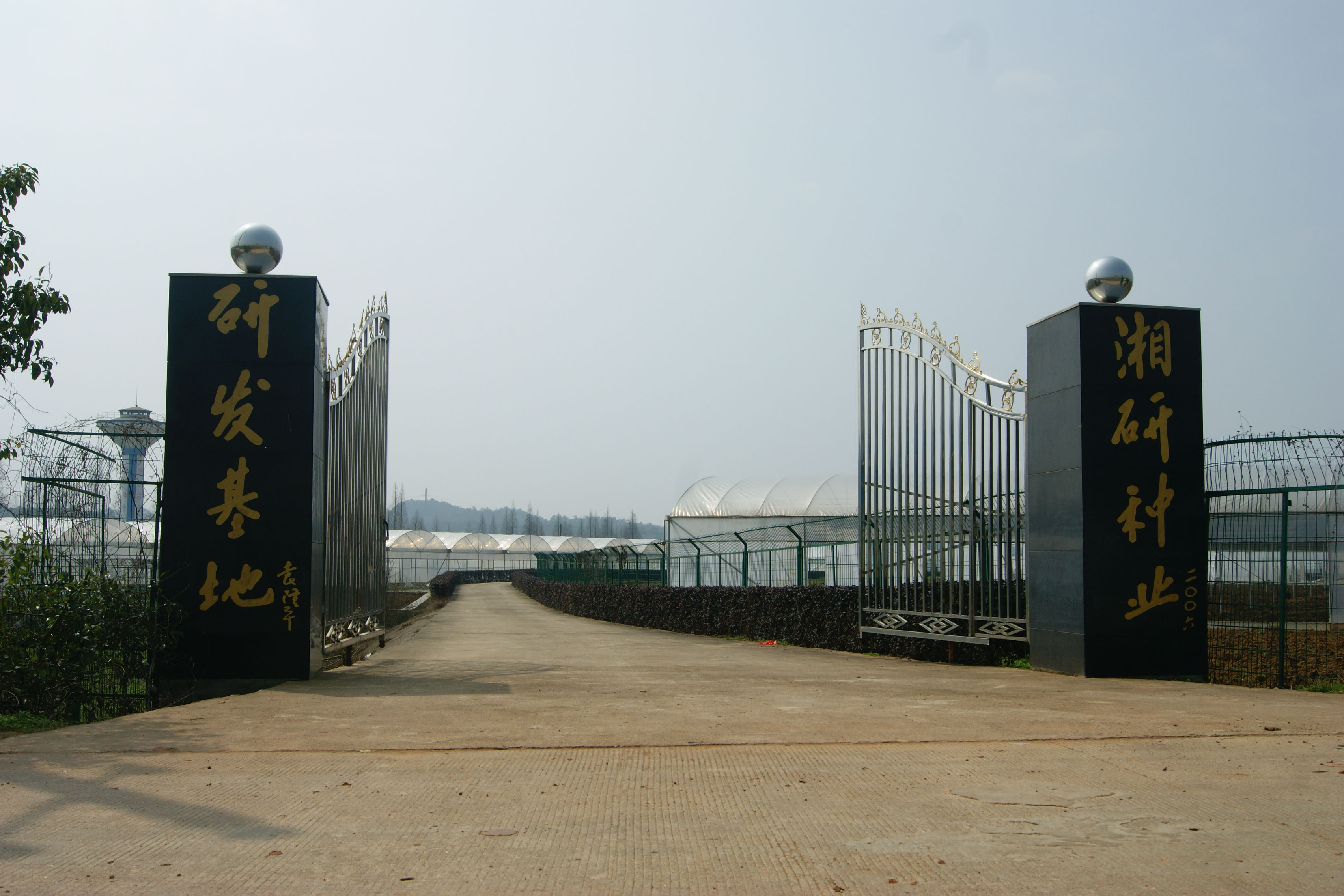 湖南湘研种业有限公司