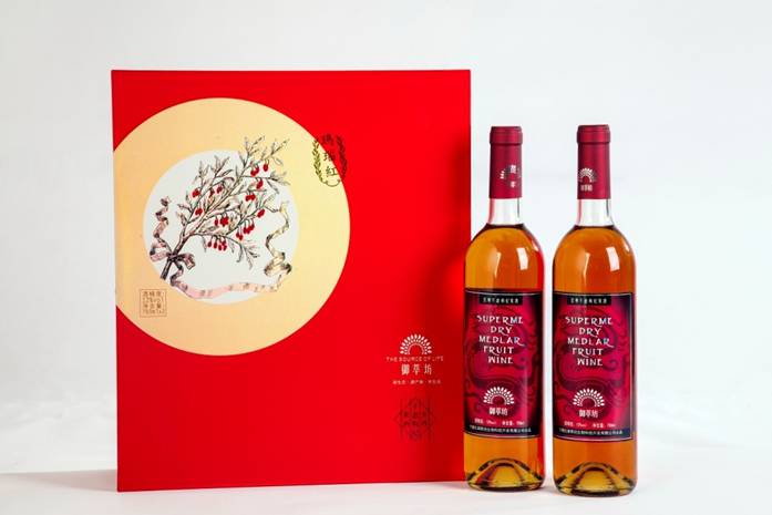 和静怡真 2017年新年年礼集