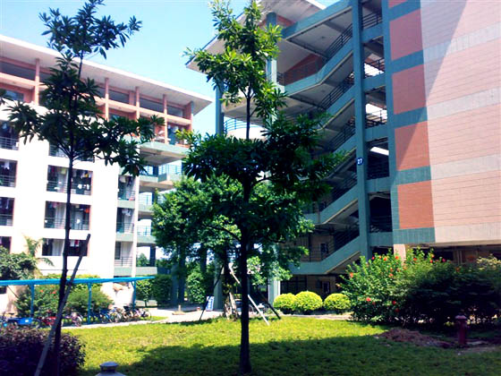 我是第250973位为广轻生日接力的轻院人