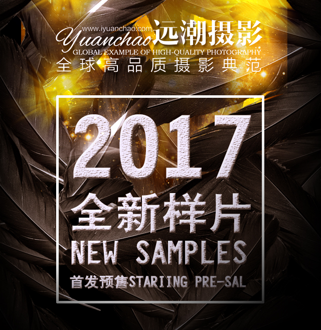 2017最新样片匠心古装预售发布