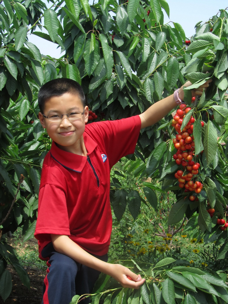 时光不语·静待花开