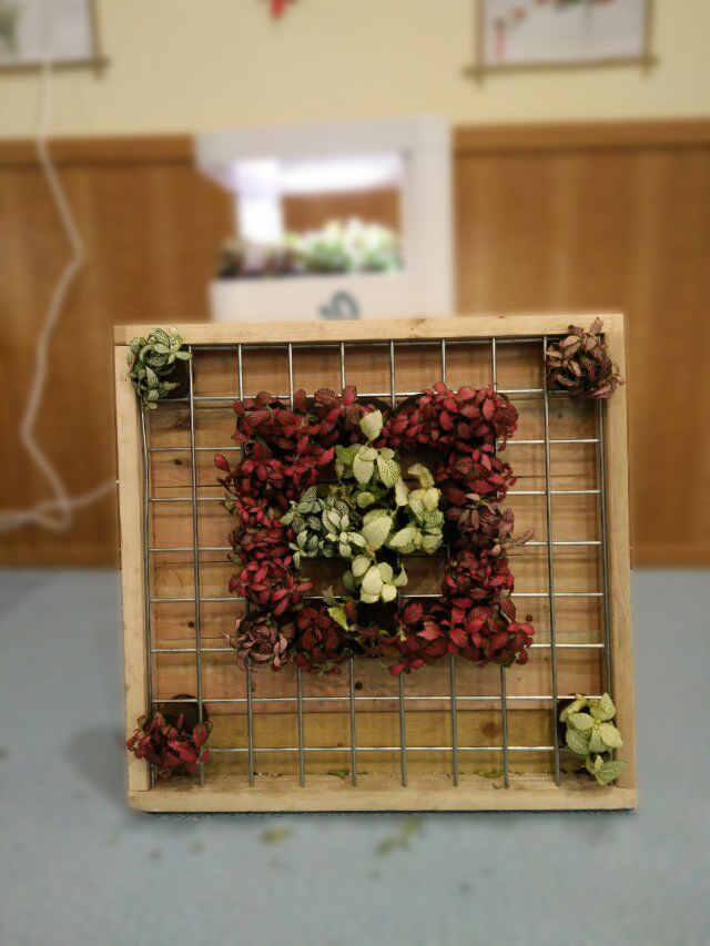 亲子园艺diy大赛第三站 ,周末温情上演