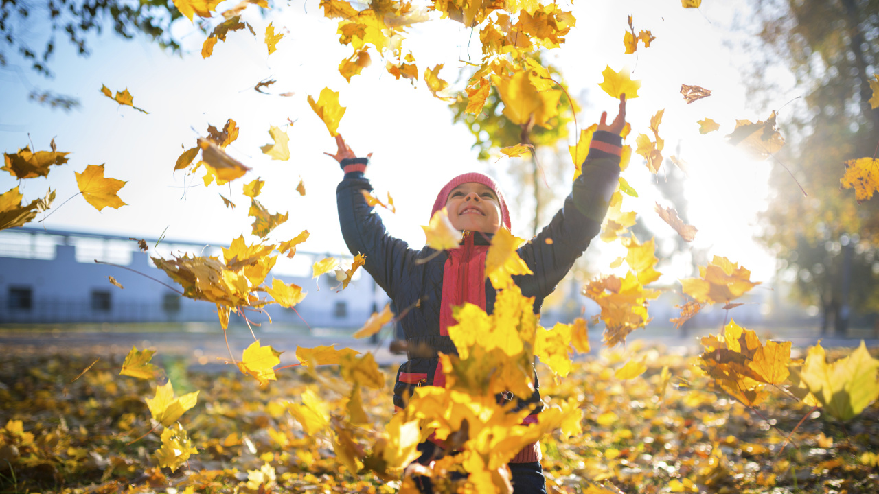 海尔冰箱飨宴生态游