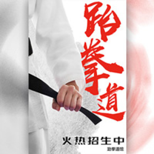 百瑞跆拳道