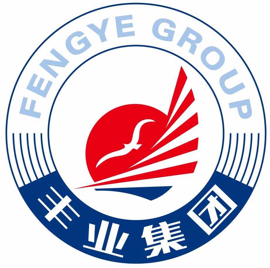 丰业集团十周年征程