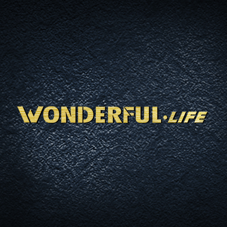 wonderful公众号