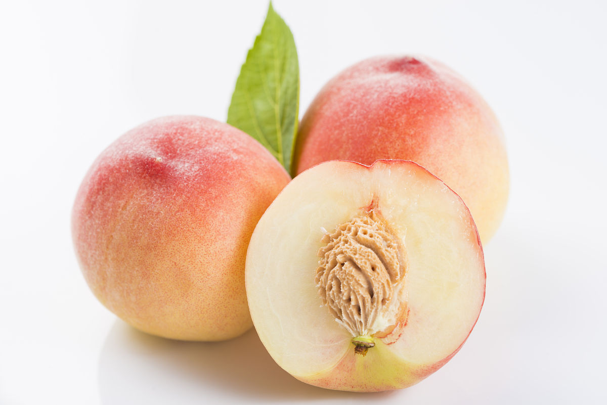 17日蟹哥带你游桃园,尝新鲜水蜜桃