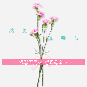 通安建行母亲节花艺活动