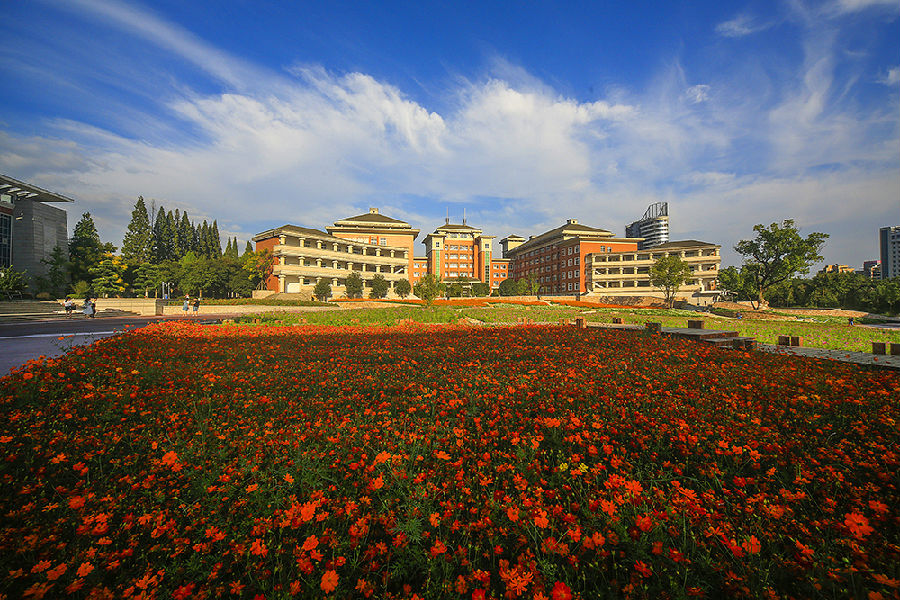 醉美丽职院